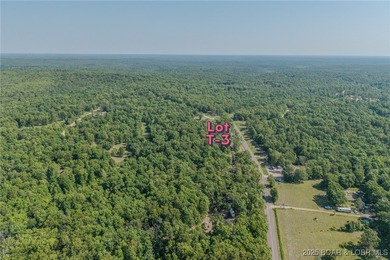 Excellent building lot consisting of 3.01 acres located on Ivy - photo 6