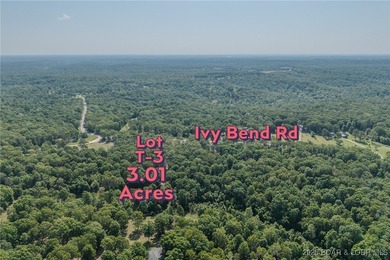 Excellent building lot consisting of 3.01 acres located on Ivy - photo 8