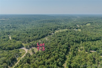 Excellent building lot consisting of 3.01 acres located on Ivy - photo 10