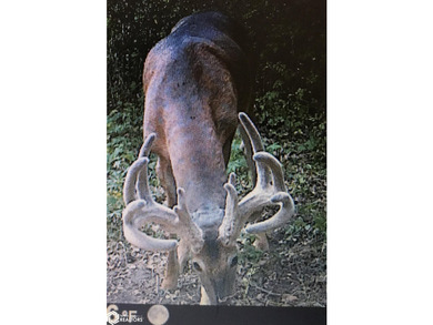 This exceptional Southern Iowa hunting, fishing and outdoor - photo 52