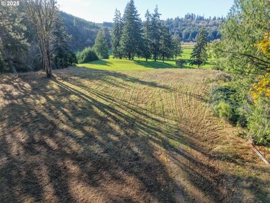 Beautiful 2.87-Acre Golf Course Lot in Ironwood Estates - - photo 2