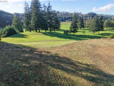 Beautiful 2.87-Acre Golf Course Lot in Ironwood Estates - - photo 3