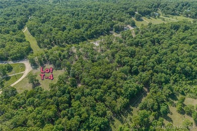 Excellent building lot consisting of 3.01 acres located on Ivy - photo 5