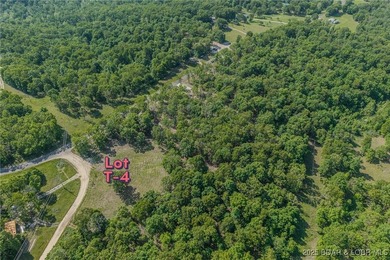 Excellent building lot consisting of 3.01 acres located on Ivy - photo 6