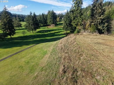 Beautiful 2.87-Acre Golf Course Lot in Ironwood Estates - - photo 10