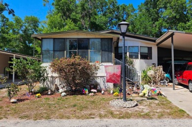 Tsala Apopka Chain of Lakes Home For Sale in Floral City Florida