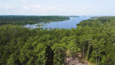 Lake Sam Rayburn  Acreage For Sale in Browndell Texas