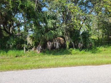 Port Charlotte Waterway Area Lot For Sale in Port Charlotte Florida