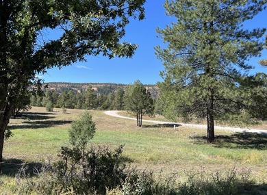 Ramah Reservoir Acreage For Sale in Ramah New Mexico