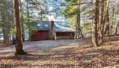 Arnold Lake Home For Sale in Hartwick New York