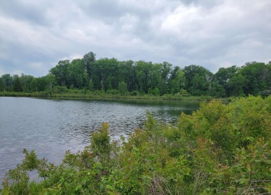 Lake Acreage For Sale in Harrison, Michigan