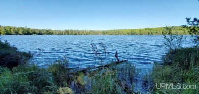 Lake Acreage For Sale in Stambaugh, Michigan