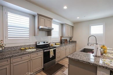 Welcome to the Modern 3-Story detached in The Row Homes at - photo 17
