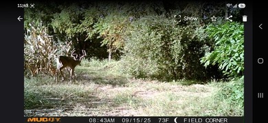 Additional listing photo 3