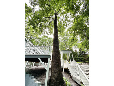 Welcome to 150 Orchard Dr Inman SC, where you can come - photo 44
