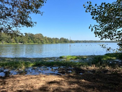 Lake Lot For Sale in Sawyerville, Alabama