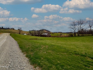 Watauga Lake Lot For Sale in Butler Tennessee