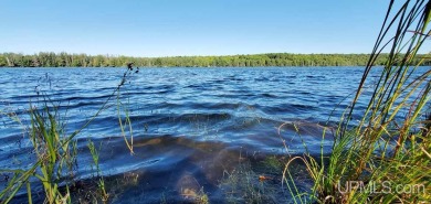 (private lake, pond, creek) Acreage For Sale in Stambaugh Michigan
