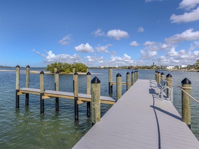 Boat Slips included, Insurance included, Ground maintenance - photo 10