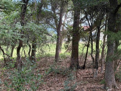 Wonderful golf course lot with 80 feet of frontage and a - photo 2
