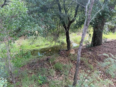 Wonderful golf course lot with 80 feet of frontage and a - photo 5