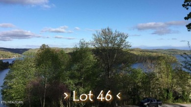 Norris Lake Lot Sale Pending in Lafollette Tennessee