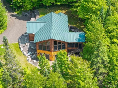 Lake Home For Sale in Presque Isle T-WI, Michigan