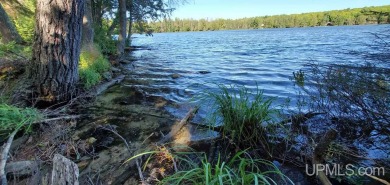 (private lake, pond, creek) Acreage For Sale in Stambaugh Michigan