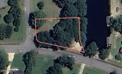 Lake Lot For Sale in Harrells, North Carolina