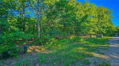 Lake Lot For Sale in Porto Cima, Missouri