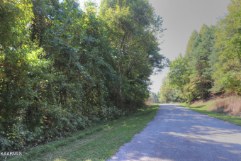 Lot 164 Chimney Rock. This wooded .97 acre lot is about a mile - Lake Lot For Sale in New Tazewell, Tennessee