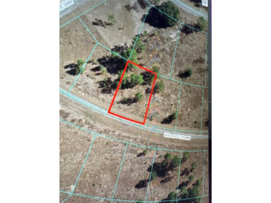 Lake Lot For Sale in Ocklawaha, Florida