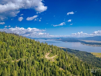 Extraordinary opportunity to own 728 acres of timbered mountain - photo 3