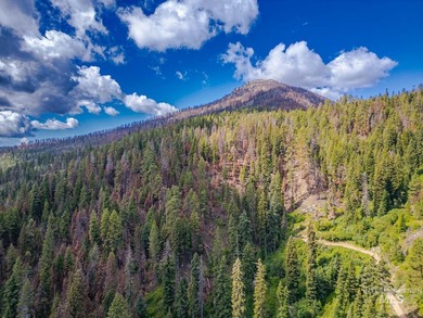 Extraordinary opportunity to own 728 acres of timbered mountain - photo 4