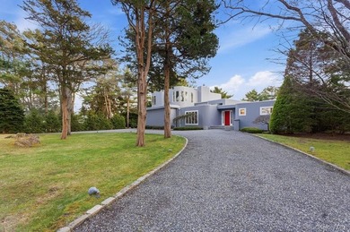 Chic Contemporary Sophisticated Living in Remsenburg Nestled on - photo 4