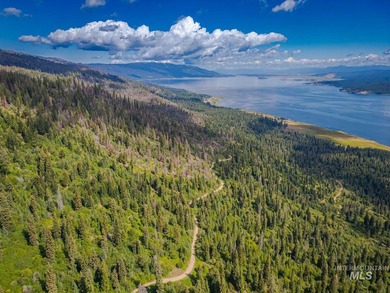 Extraordinary opportunity to own 728 acres of timbered mountain - photo 6