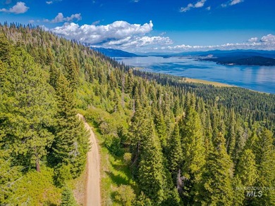 Extraordinary opportunity to own 728 acres of timbered mountain - photo 7