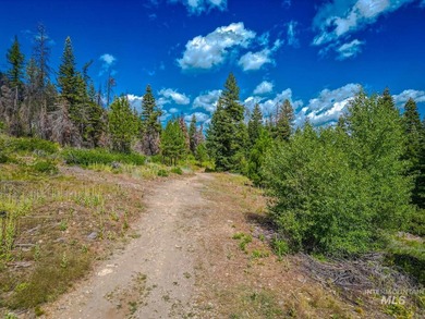 Extraordinary opportunity to own 728 acres of timbered mountain - photo 8