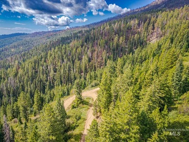 Extraordinary opportunity to own 728 acres of timbered mountain - photo 10