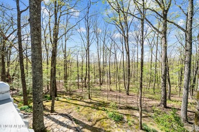 Tucked at the end of a quiet cul-de-sac in Fairfield Glade, this - photo 41