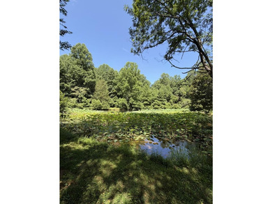 Unlock the possibilities with this rare opportunity in the - photo 46