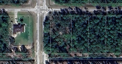 Lake Weohyakapka Lot Sale Pending in Indian Lake Estates Florida