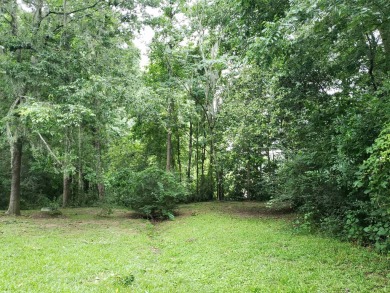 AJ Henry Lake Lot For Sale in Tallahassee Florida