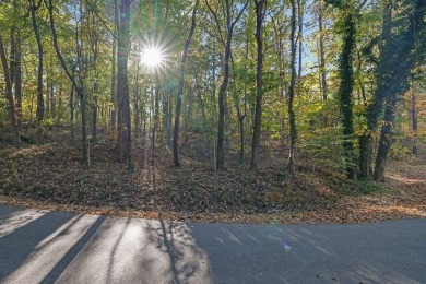 Lake Lot For Sale in Gainesville, Georgia