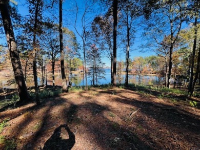 1.046 waterfront lot located on Toledo Bend Lake. - Lake Lot For Sale in Hemphill, Texas