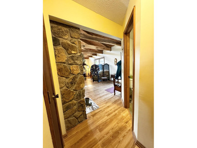 Beautiful 39+ acre farm with a spring-fed stocked pond, mature - photo 23
