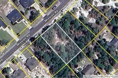 Build your dream home in the growing community of Boiling Spring - photo 2