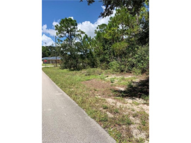 Lake Lot For Sale in Lake Placid, Florida