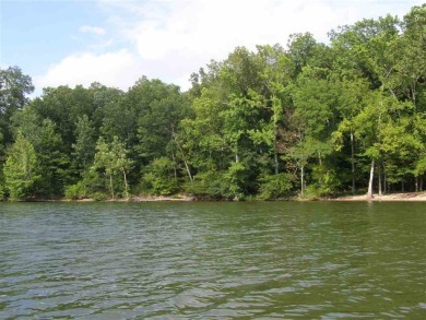 Pickwick Lake Lot For Sale in Savannah Tennessee