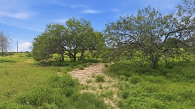 Choke Canyon Lake  Acreage For Sale in Three Rivers Texas